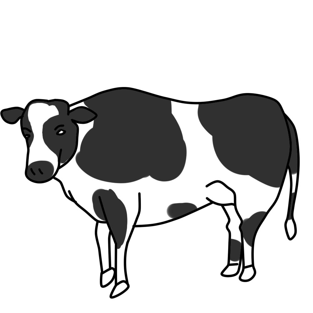 1000x1000 Cow Clipart Black And White