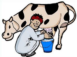 264x196 Free Cow Clipart