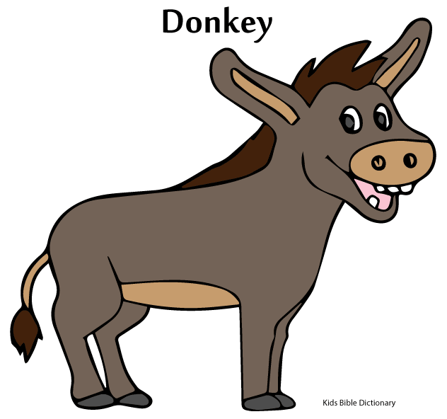 632x592 Donkey