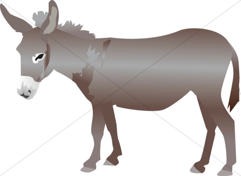 776x566 Donkey Clipart Nativity Animal