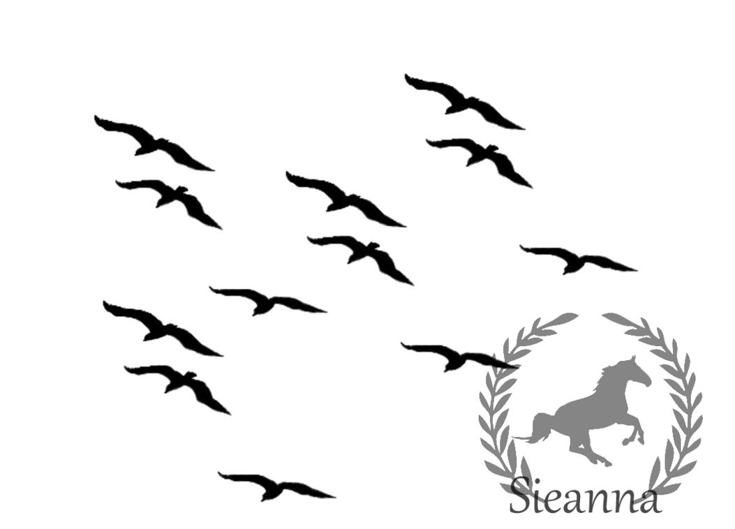 1053x758 Black Birds Flying Set 2 By Sieannaboo