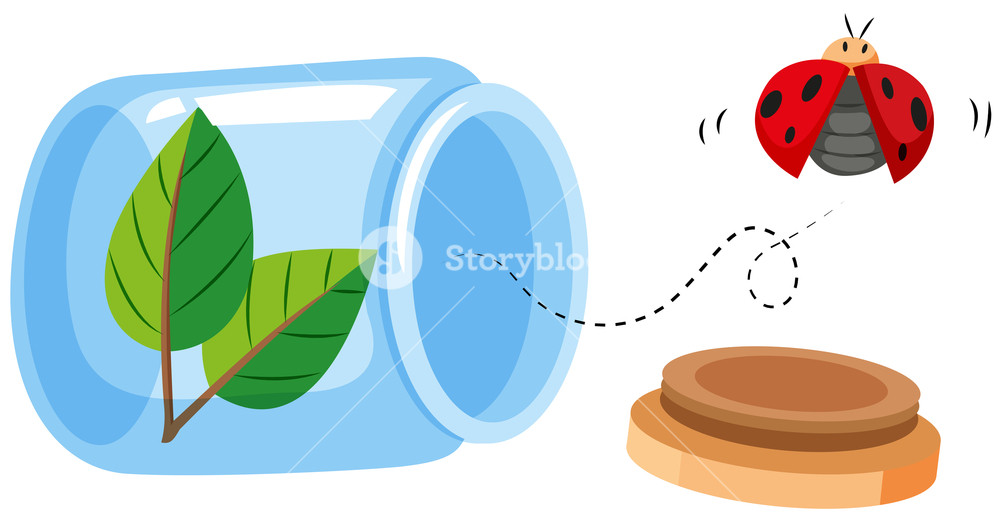 1000x522 Ladybug Flying Out Of The Jar Illustration Royalty Free Stock