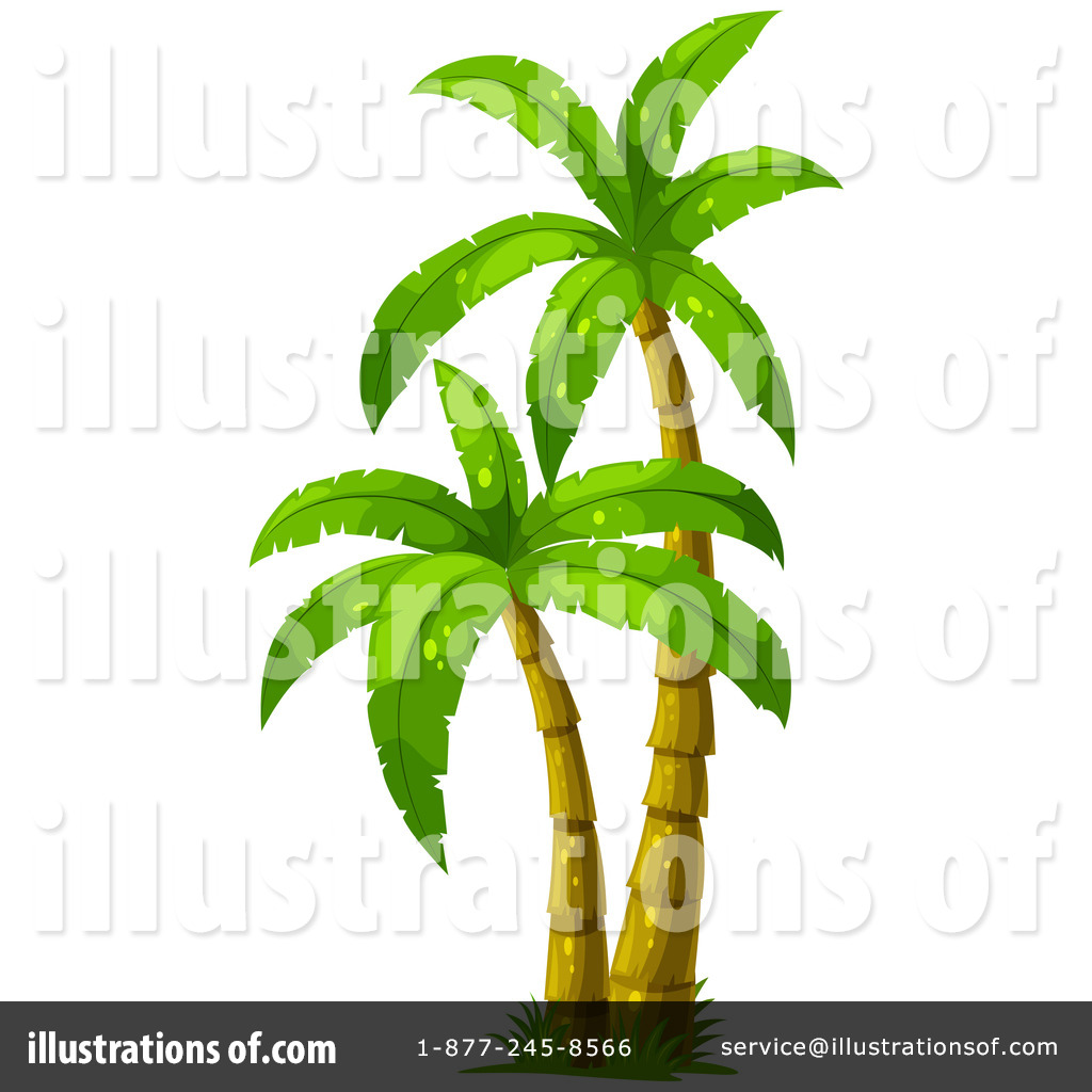 1024x1024 Palm Tree Clipart