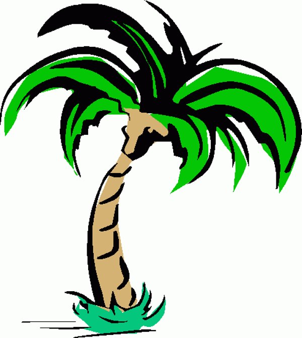 600x672 Palm Tree Art Tropical Palm Trees Clip Art Clip Art Palm Tree 2