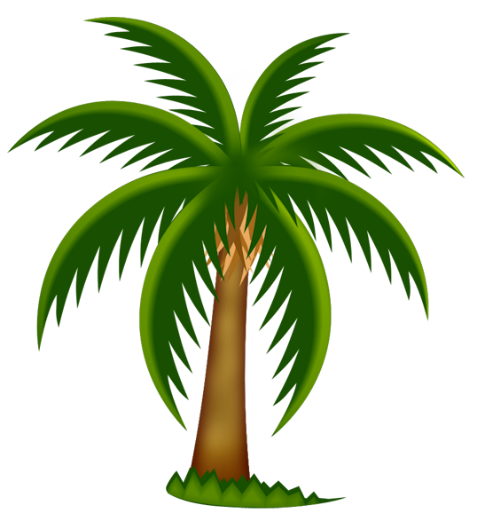 538x587 Palm Tree Clip Art 4