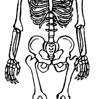 322x329 Coloring Page Skeleton Coloring Pages For Kids Human Skeleton