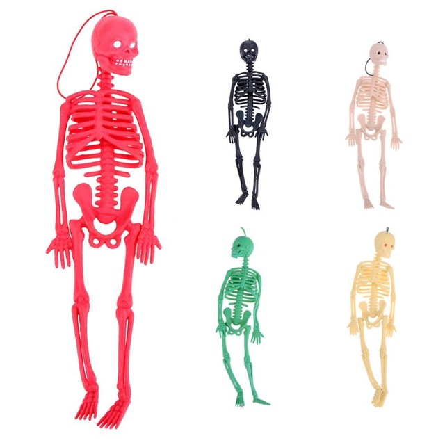 640x640 Kids Toys Horror Skull Human Body Model Children Halloween Trick