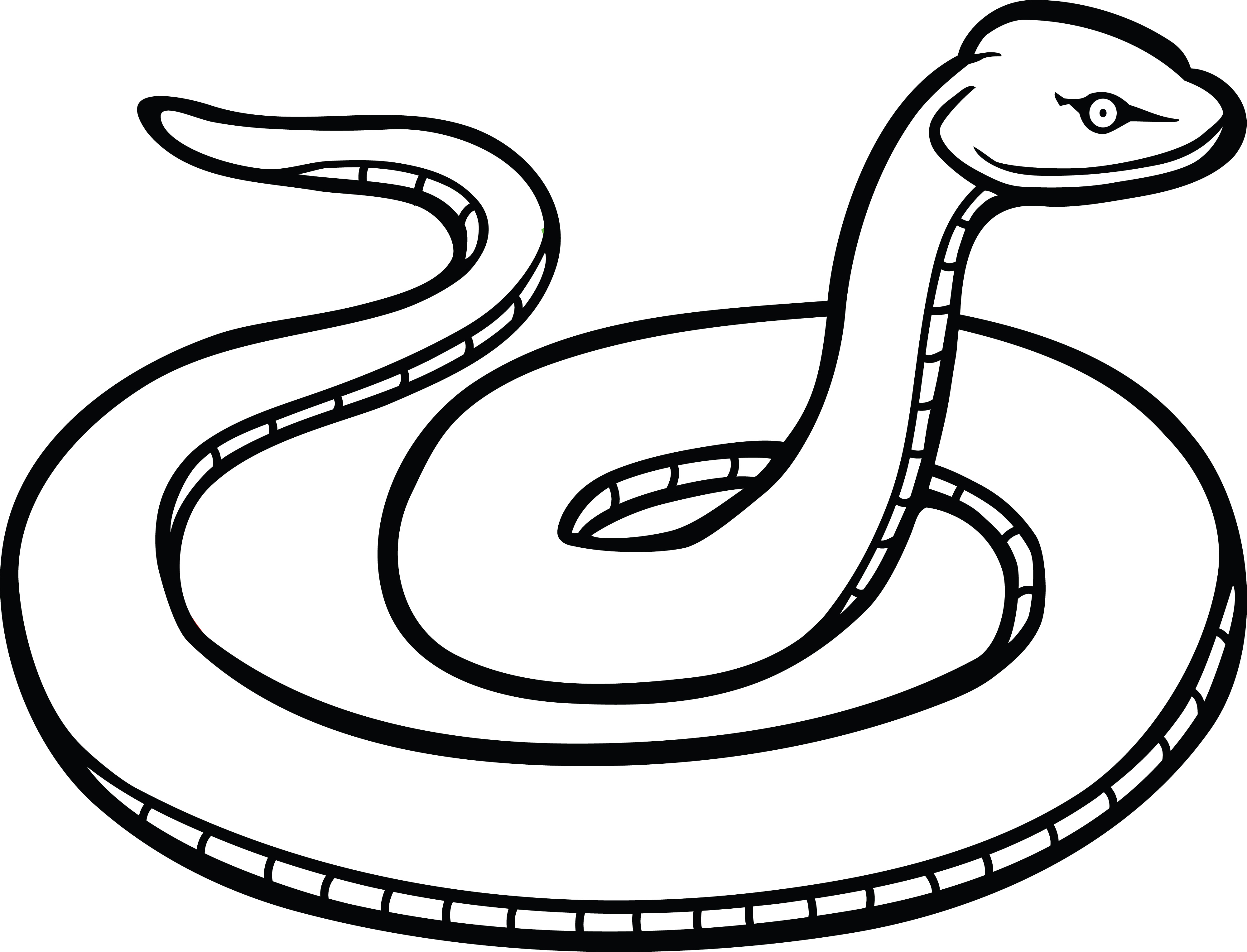 4000x3054 Clipart Of A Snake
