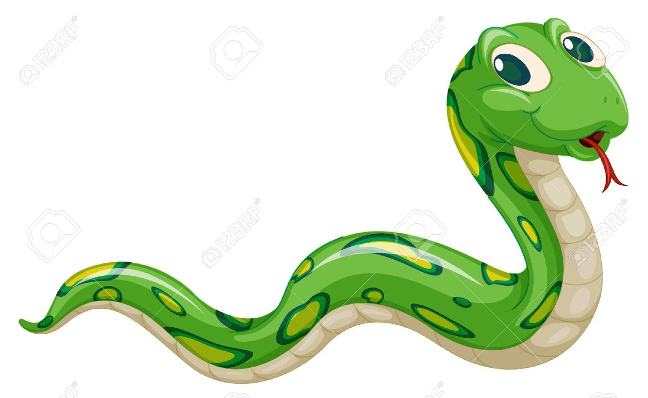 1300x799 Green Snake Clipart, Explore Pictures