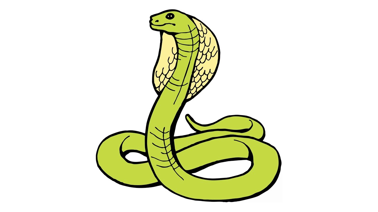 1280x720 How To Draw A Snake (Cobra, Naja, Animals)