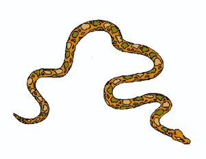 301x232 Snake Clipart Clipart Panda