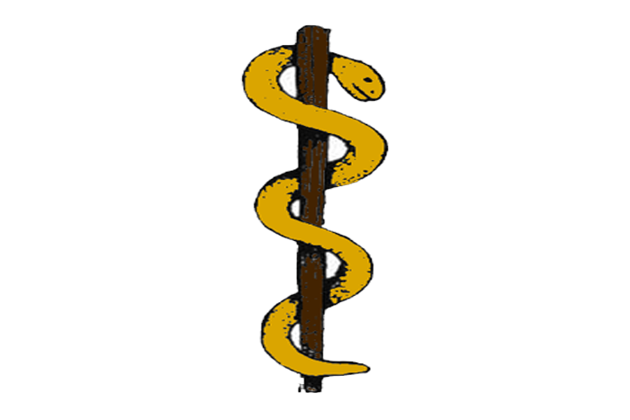 700x467 Bronze Snake On A Pole Mission Bible Class