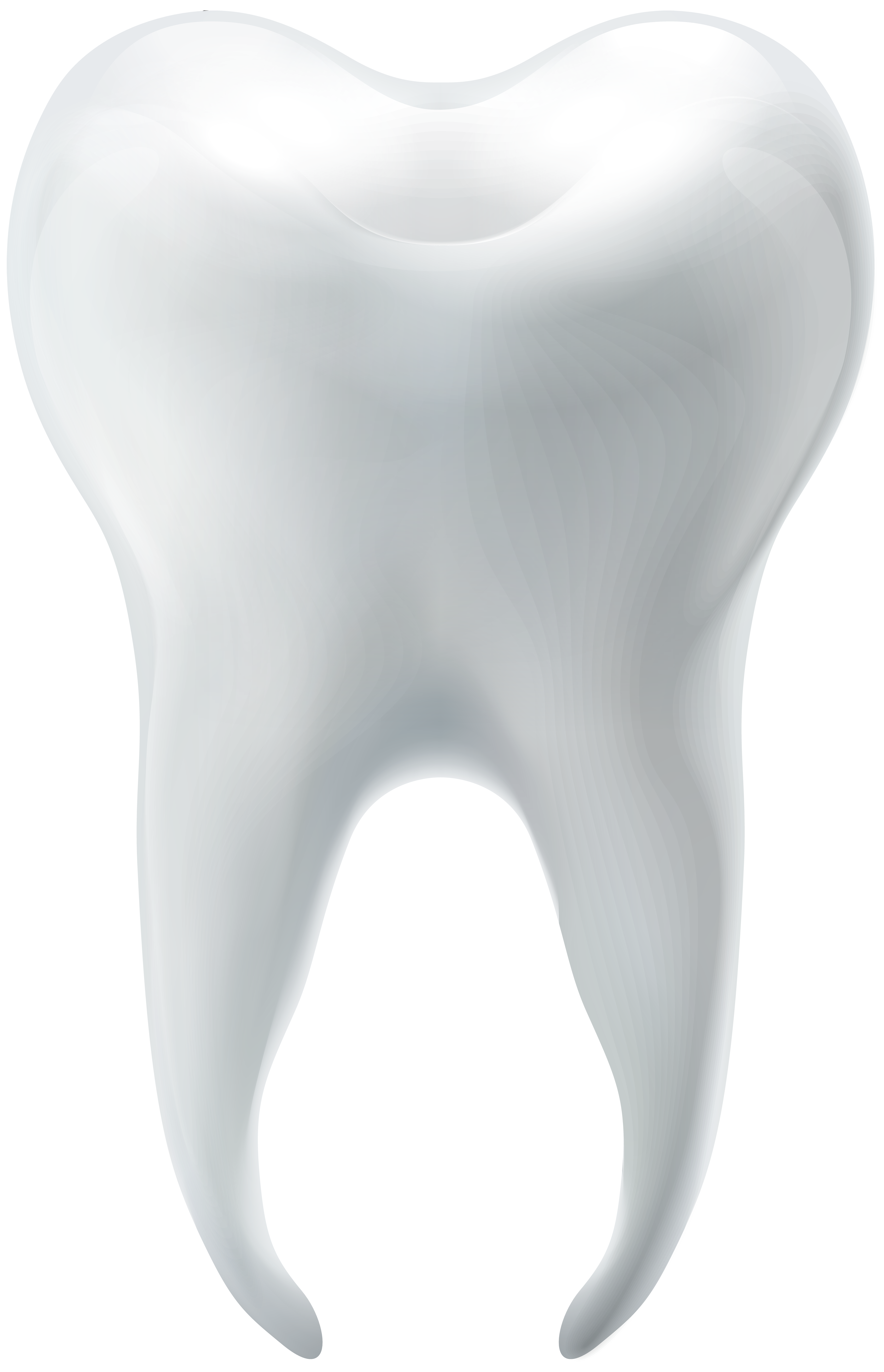 5152x8000 Molar Tooth Png Clip Art