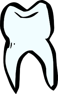 186x300 Teeth Clipart Loose Tooth