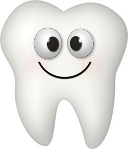 258x300 The Best Tooth Clipart Ideas Dentist Clipart
