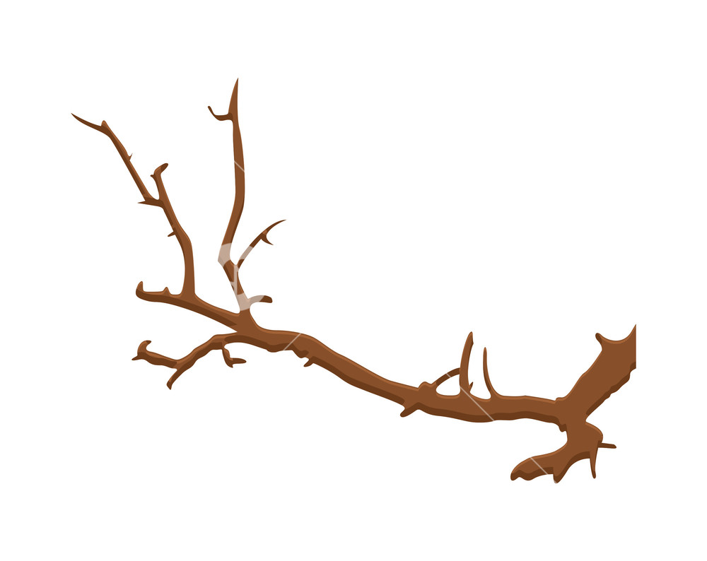 1000x794 Dry Tree Branches Designs Royalty Free Stock Image