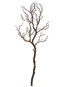 225x300 38 Manzanita Tree Branch Brown (Pack Of 6) Home