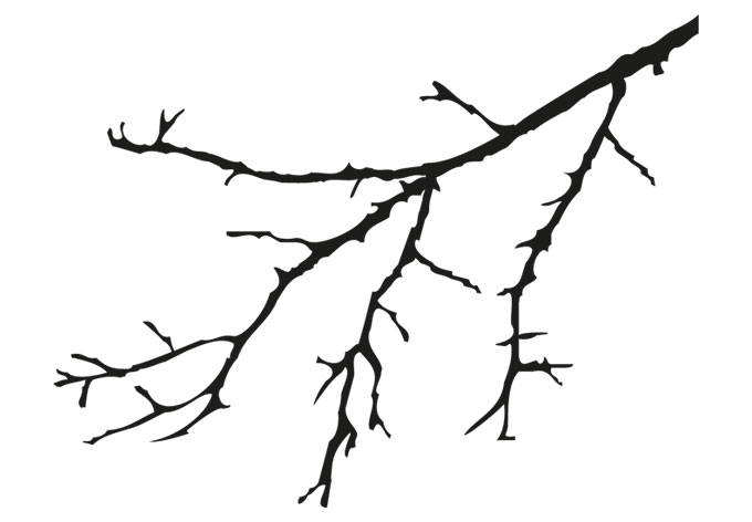 680x472 Tree Branch 2 Color Wall Decal