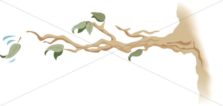 776x368 Tree Branch With Falling Leaf Leaf Clipart