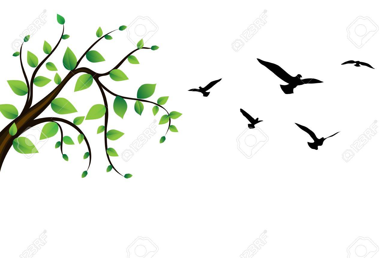 1300x859 Bird Around A Tree Branch Royalty Free Cliparts, Vectors,