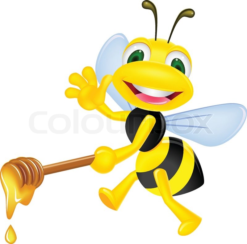 800x793 Bee With Honey Stock Vector Colourbox