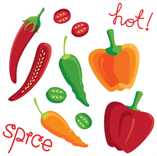 626x625 Chili Pepper Vectors, Photos And Psd Files Free Download