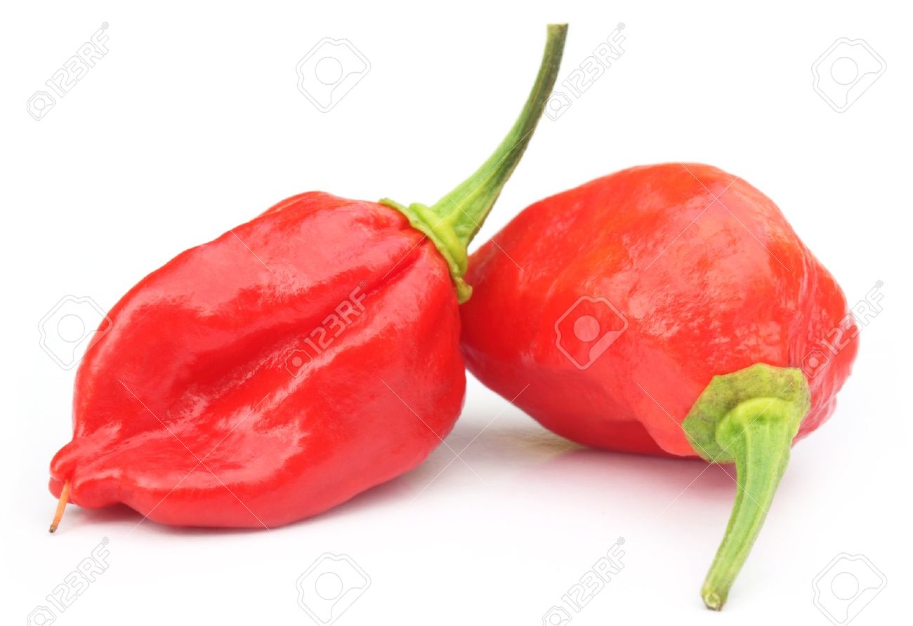 1300x892 Ghost Chili Stock Photos. Royalty Free Ghost Chili Images And Pictures