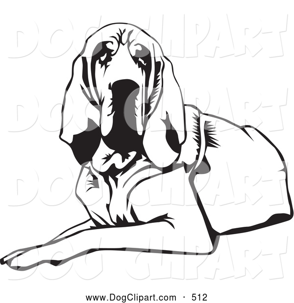 600x620 Clip Art Of A Cute And Tired And Lazy Bloodhound Dog, Or St