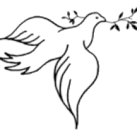 200x200 Dove Clipart Olive Branch