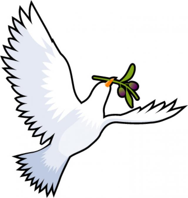 640x674 Leader Resource 1 Dove With Olive Branch Wonderful Welcome