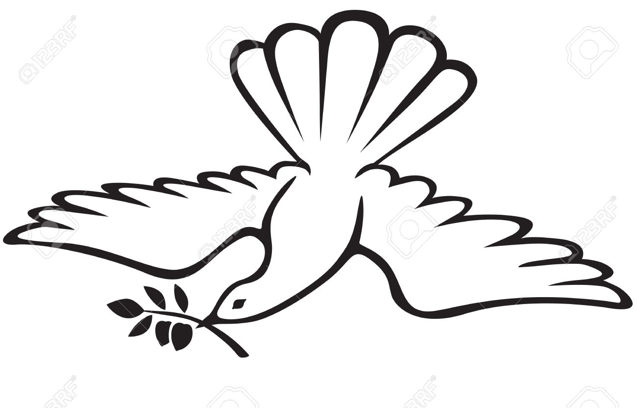 1300x832 White Dove Clipart Olive Branch