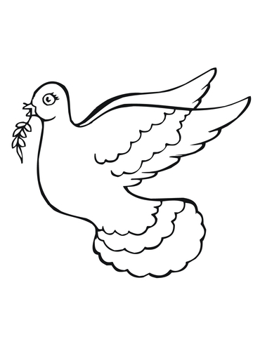 360x480 Dove Holding Olive Branch Coloring Page Free Printable Coloring