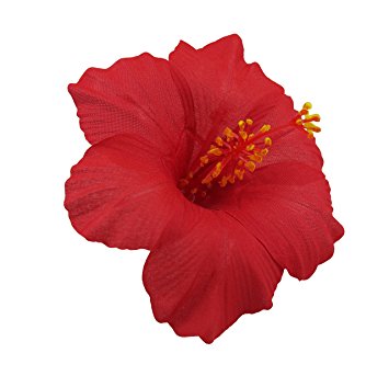 355x343 Hawaiian Hibiscus Flower Hair Clip (Red) Beauty