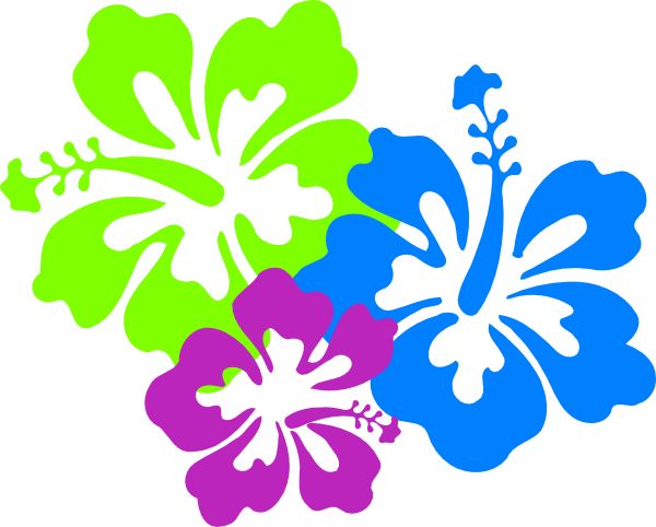 600x482 Floral Clipart Hibiscus Flower