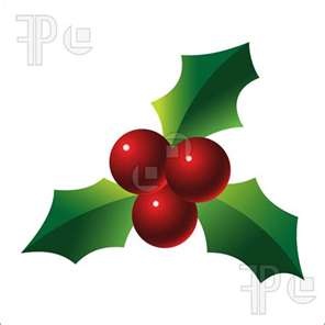 Picture Of Holly Berries