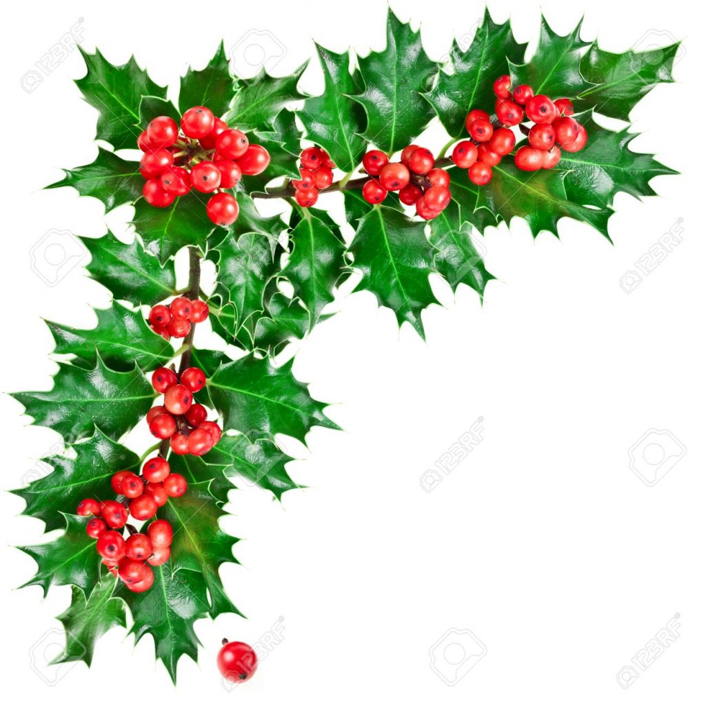 1024x1025 Christmas ~ Decorative Corner Withmas Holly Berries Stock Photo