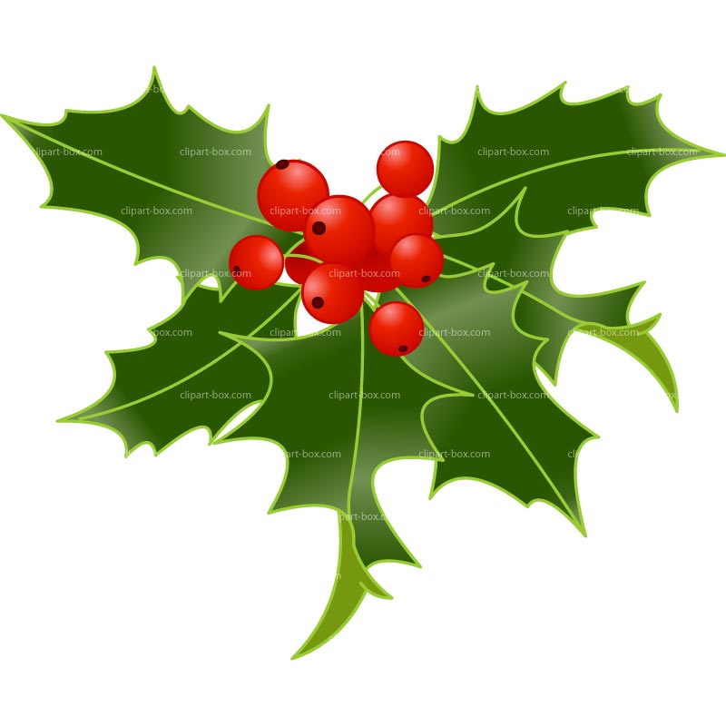 800x800 Holly Clipart