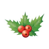 200x200 Holly Berries Background Vector Image