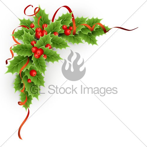 500x500 Vector Christmas Holly With Berries. Gl Stock Images