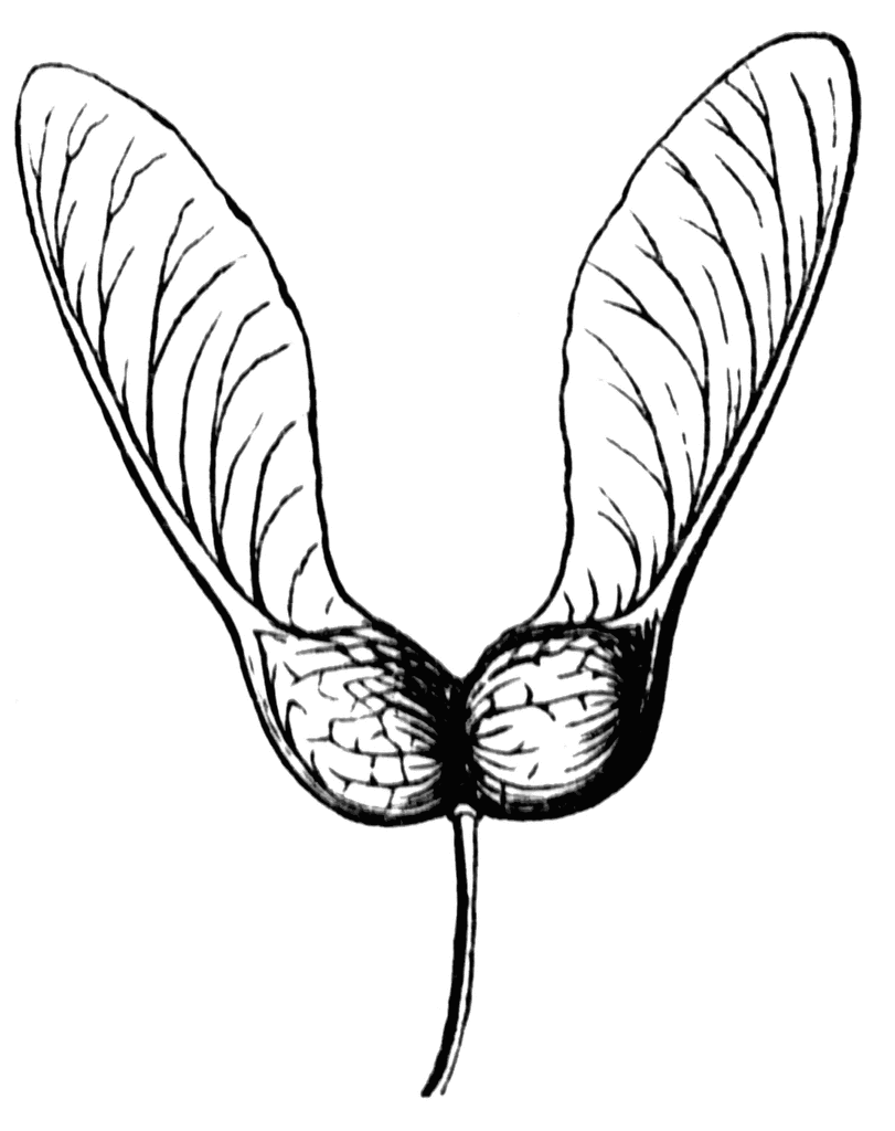 811x1024 Key Clipart Etc