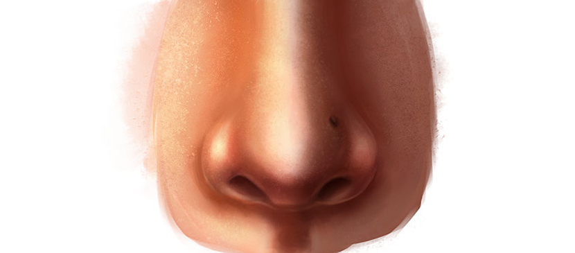 830x365 Png Human Nose Transparent Human Nose.png Images. Pluspng