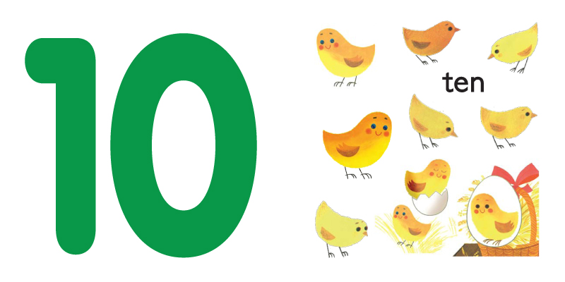 800x400 Button Books