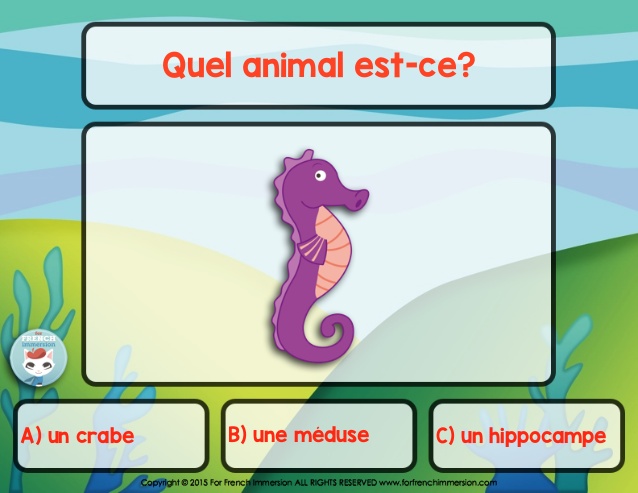 638x493 French Ocean Animals Vocabulary Quiz