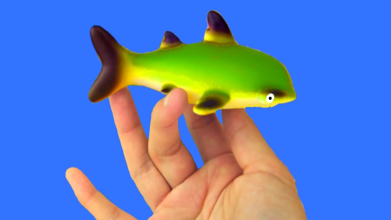 1280x720 Learn Sea Animal Names Shark Toys Toy Kids Children Kids Learning