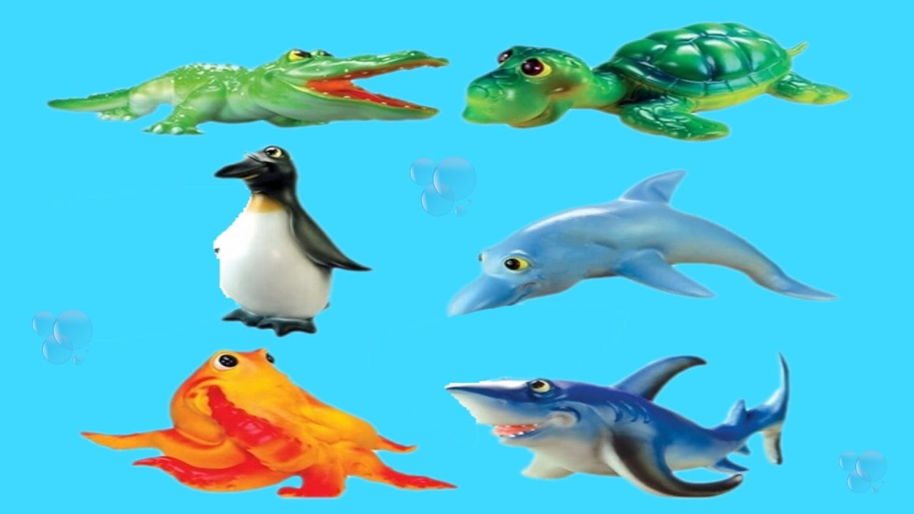 1280x720 Sea Animals Video For Children Ocean Animals For Kids Preschool