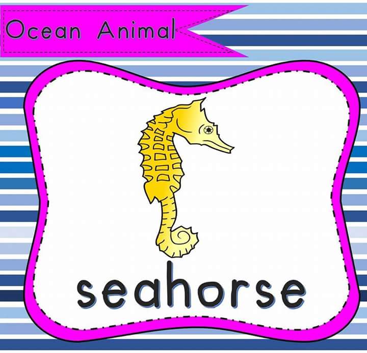 720x693 Ocean Animals Flashcards Seahorse Funnycrafts