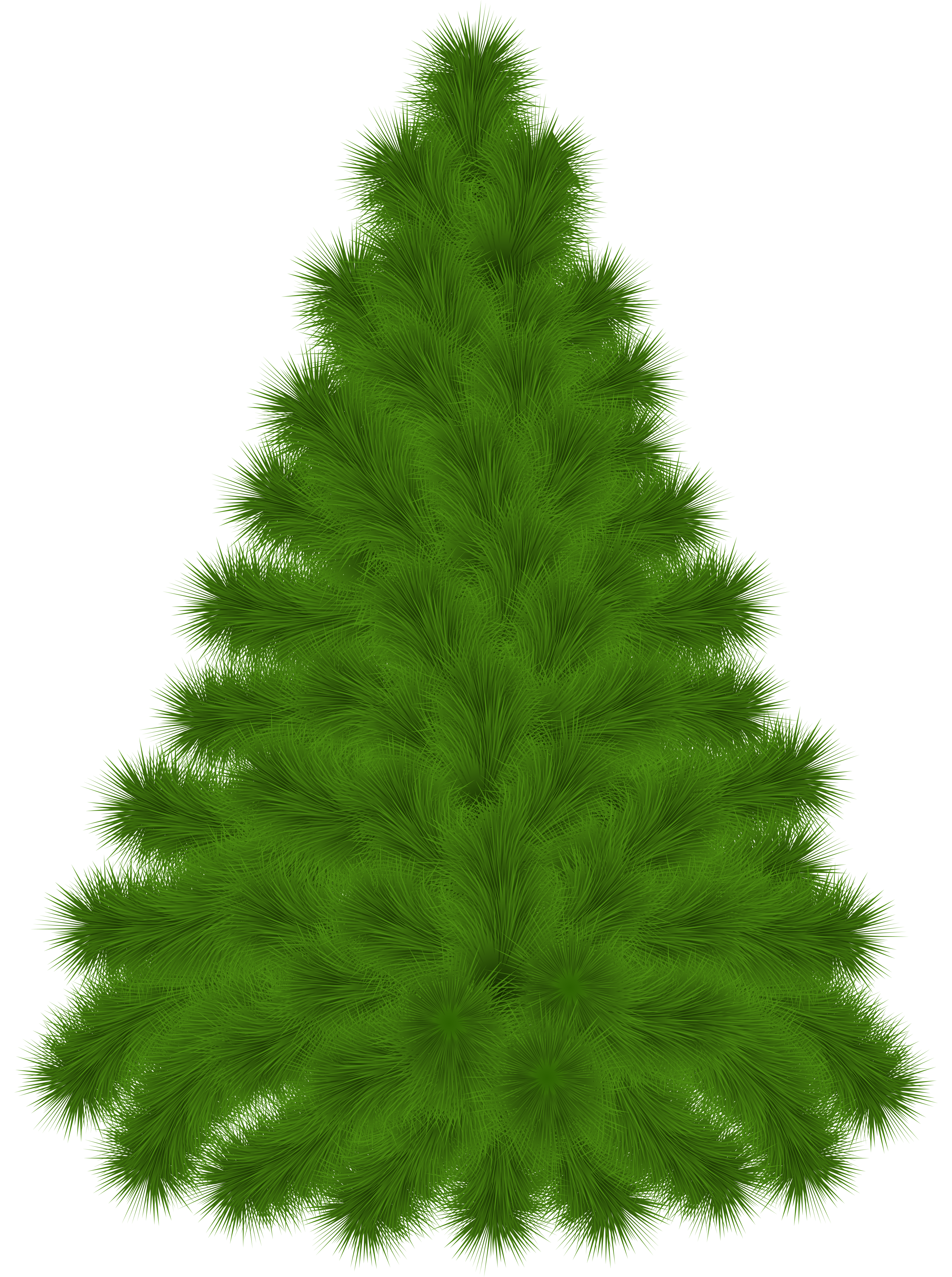 3727x5000 Pine Tree Clipart Transparent