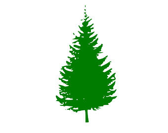 340x270 Pine Tree Svg Etsy