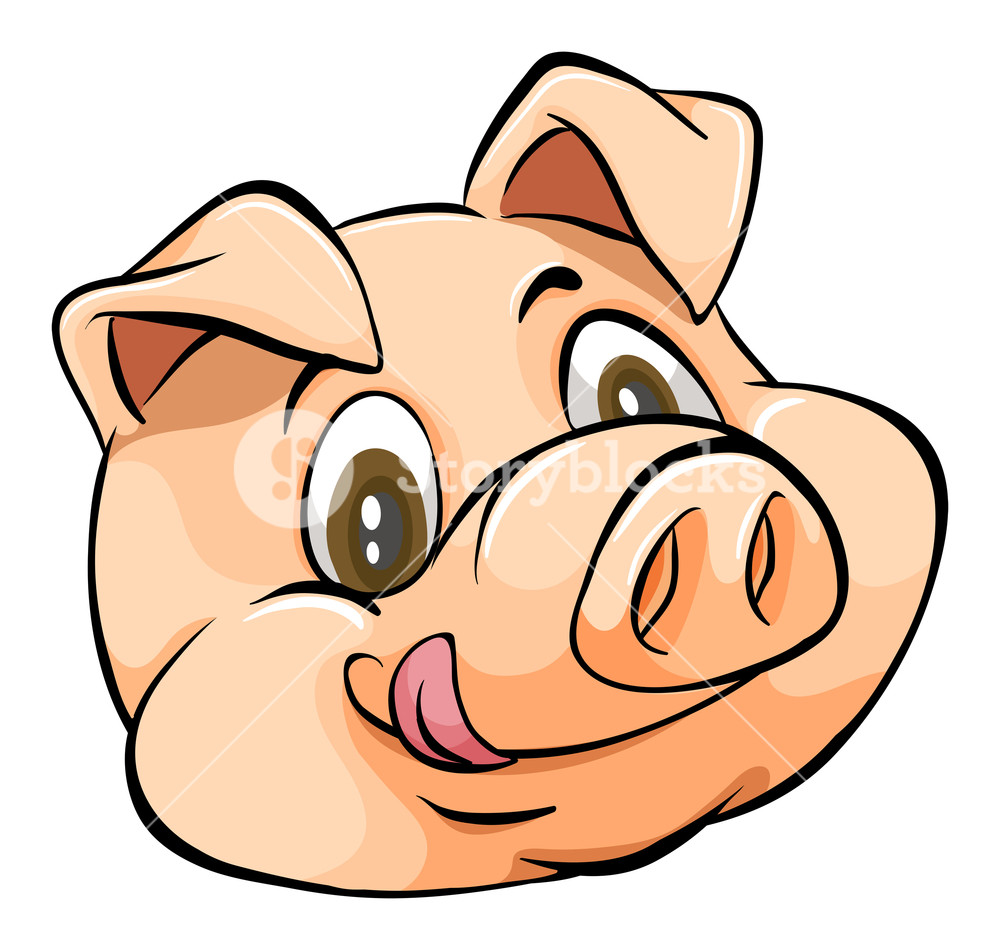 1000x950 Smiling Face Of A Pig On White Background Royalty Free Stock Image