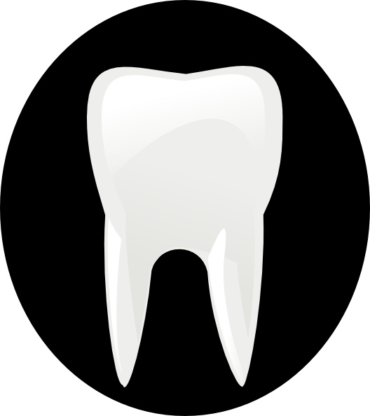528x594 Tooth Clip Art